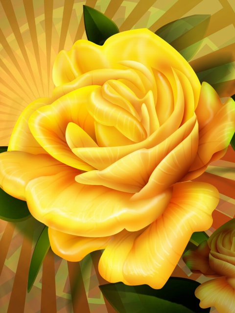 Two yellow flowers wallpaper 480x640