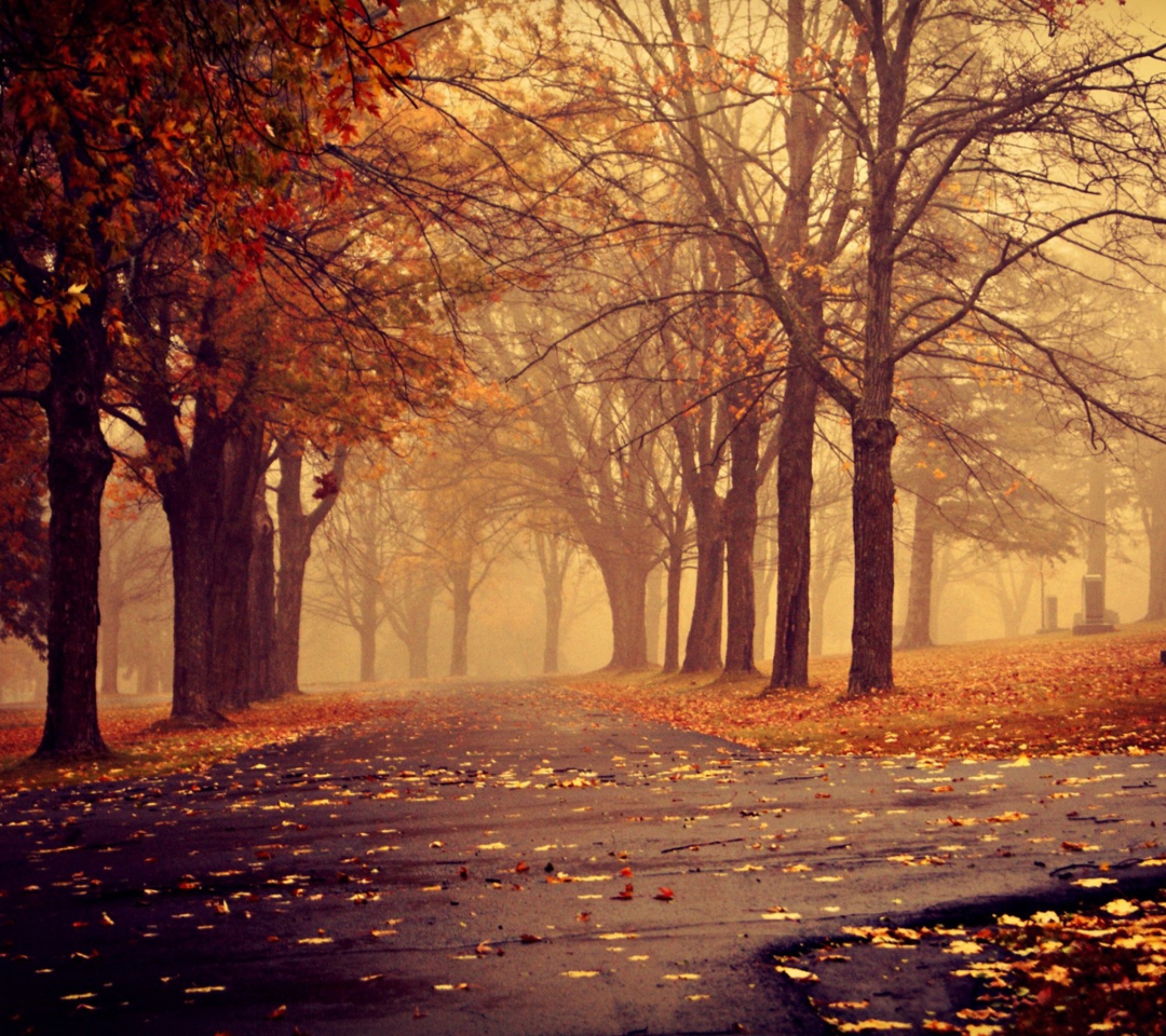 Sfondi Park In Autumn 1080x960