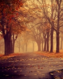 Park In Autumn wallpaper 128x160