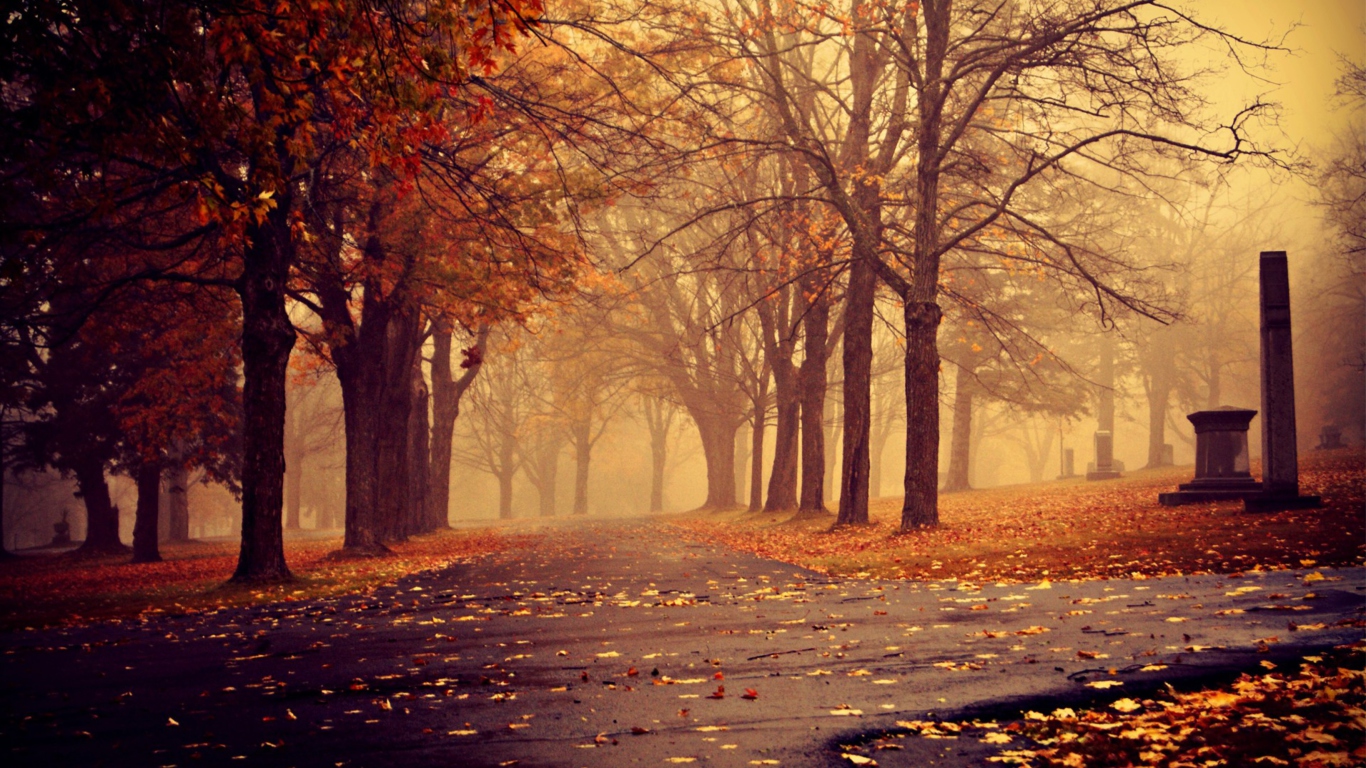 Park In Autumn wallpaper 1366x768