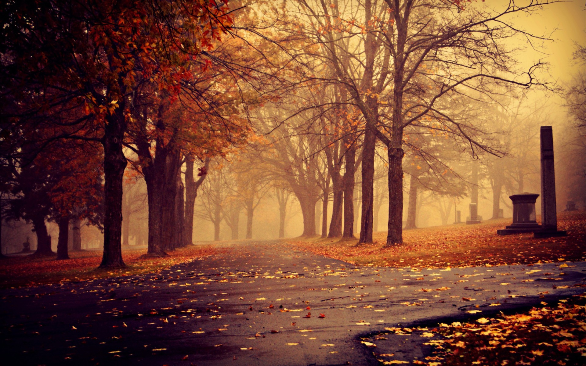 Das Park In Autumn Wallpaper 1920x1200