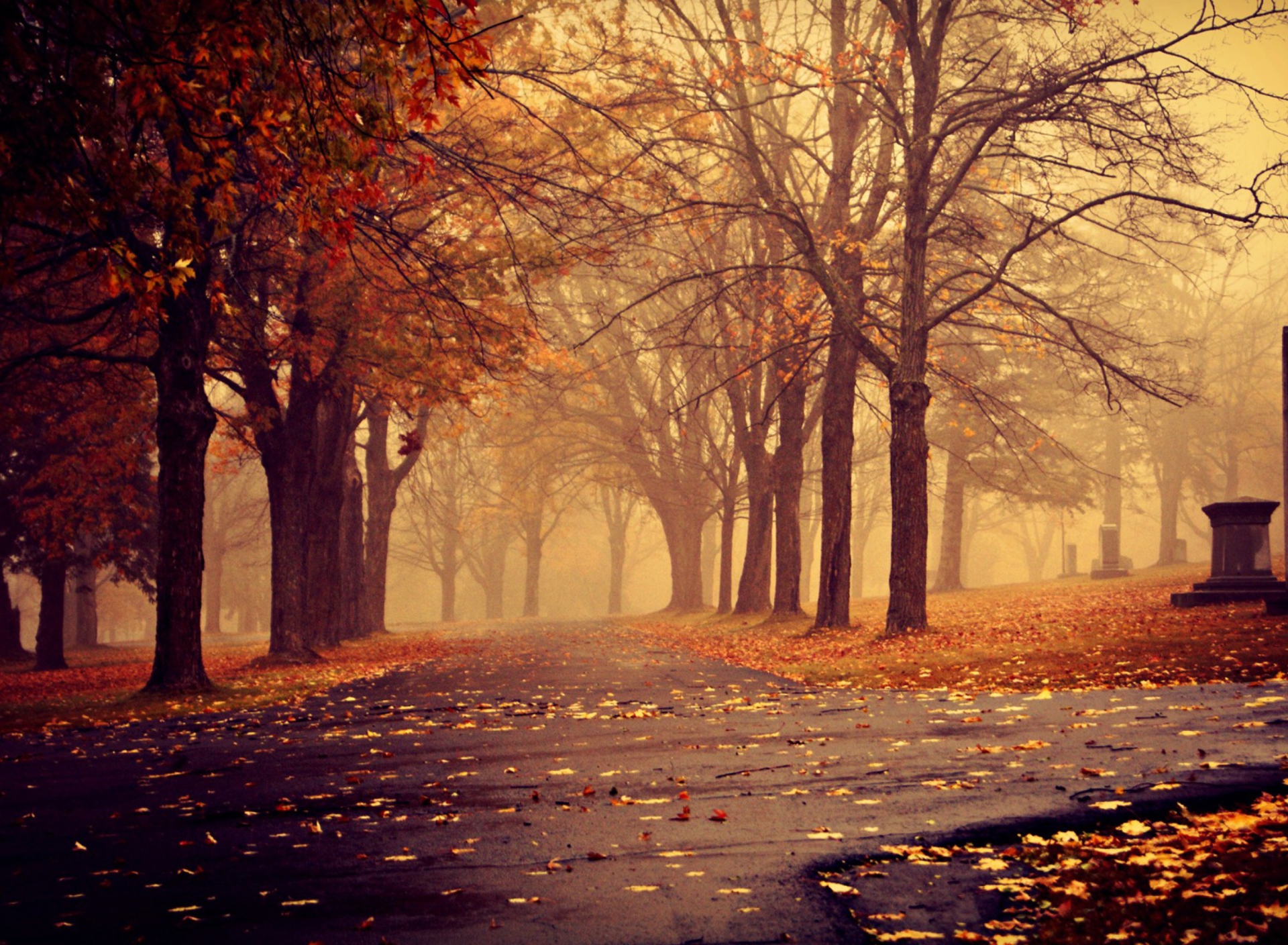 Das Park In Autumn Wallpaper 1920x1408