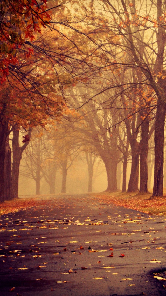 Sfondi Park In Autumn 640x1136