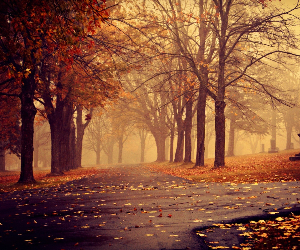 Park In Autumn screenshot #1 960x800