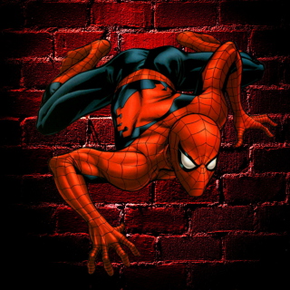 Spiderman - Obrázkek zdarma pro iPad 2