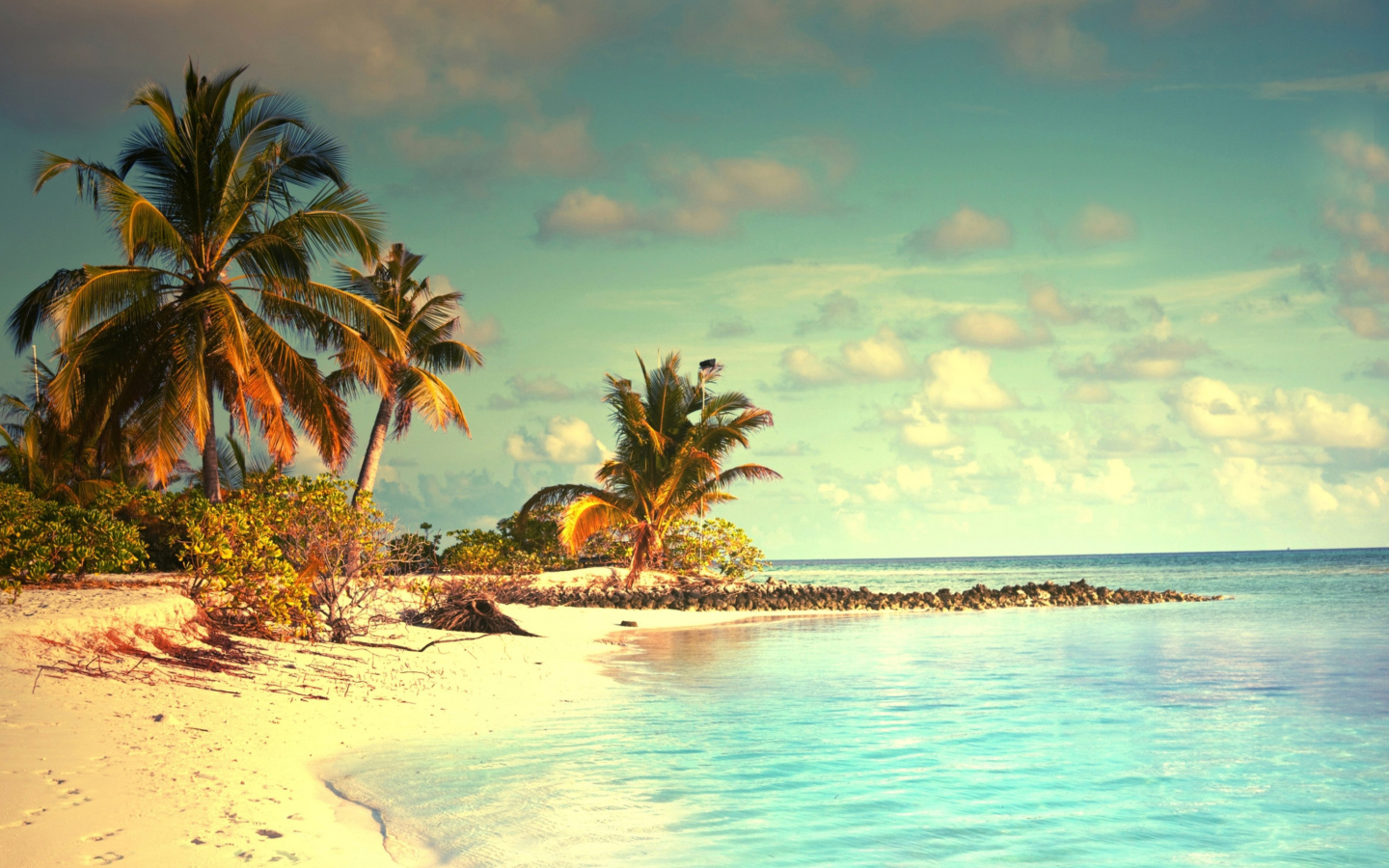 Fondo de pantalla Tropical Ocean Vacation 1440x900