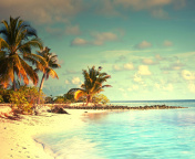 Tropical Ocean Vacation wallpaper 176x144