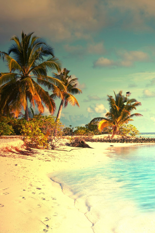 Tropical Ocean Vacation screenshot #1 320x480