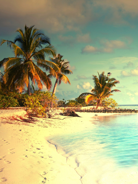 Tropical Ocean Vacation screenshot #1 480x640