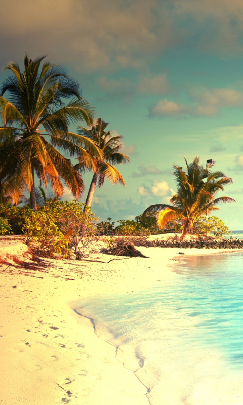 Обои Tropical Ocean Vacation 480x800