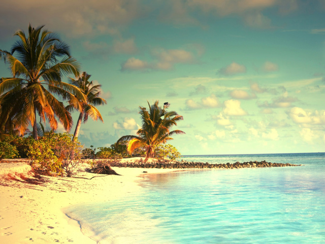 Das Tropical Ocean Vacation Wallpaper 640x480