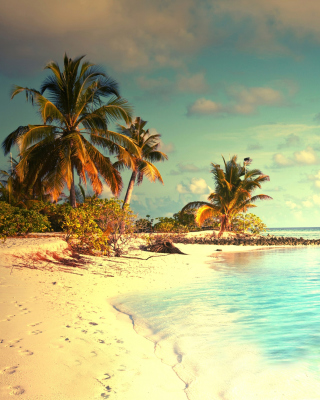 Kostenloses Tropical Ocean Vacation Wallpaper für Nokia Asha 300