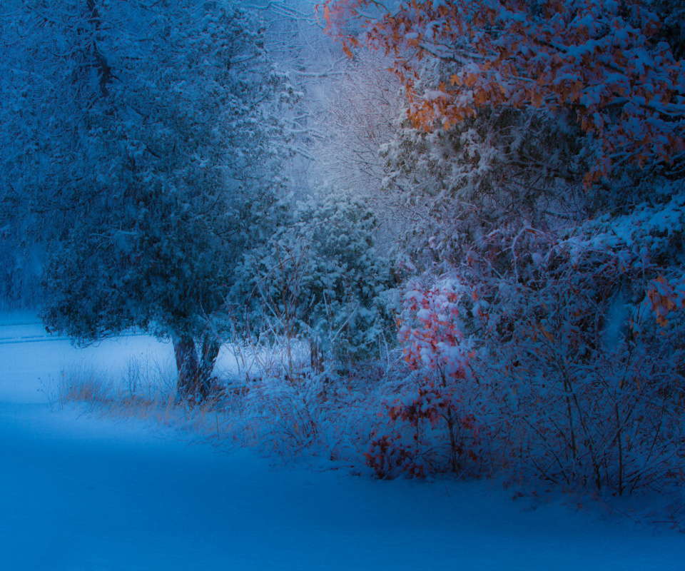 Fondo de pantalla Snowfall in the park 960x800