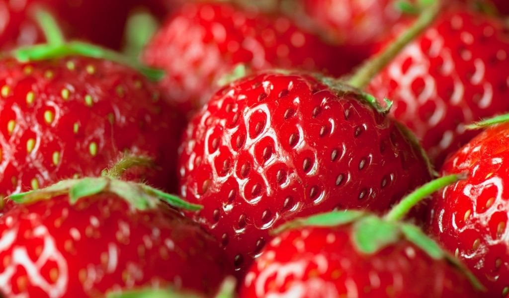 Fresh And Juicy Strawberry wallpaper 1024x600