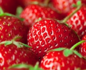 Fresh And Juicy Strawberry wallpaper 176x144
