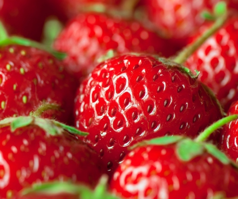 Fresh And Juicy Strawberry screenshot #1 480x400