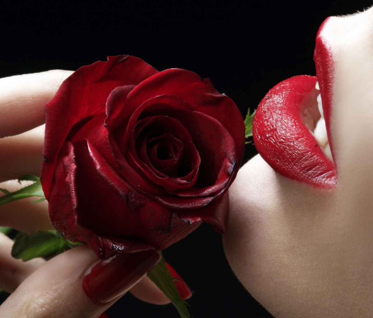 Обои Red Rose - Red Lips 1200x1024