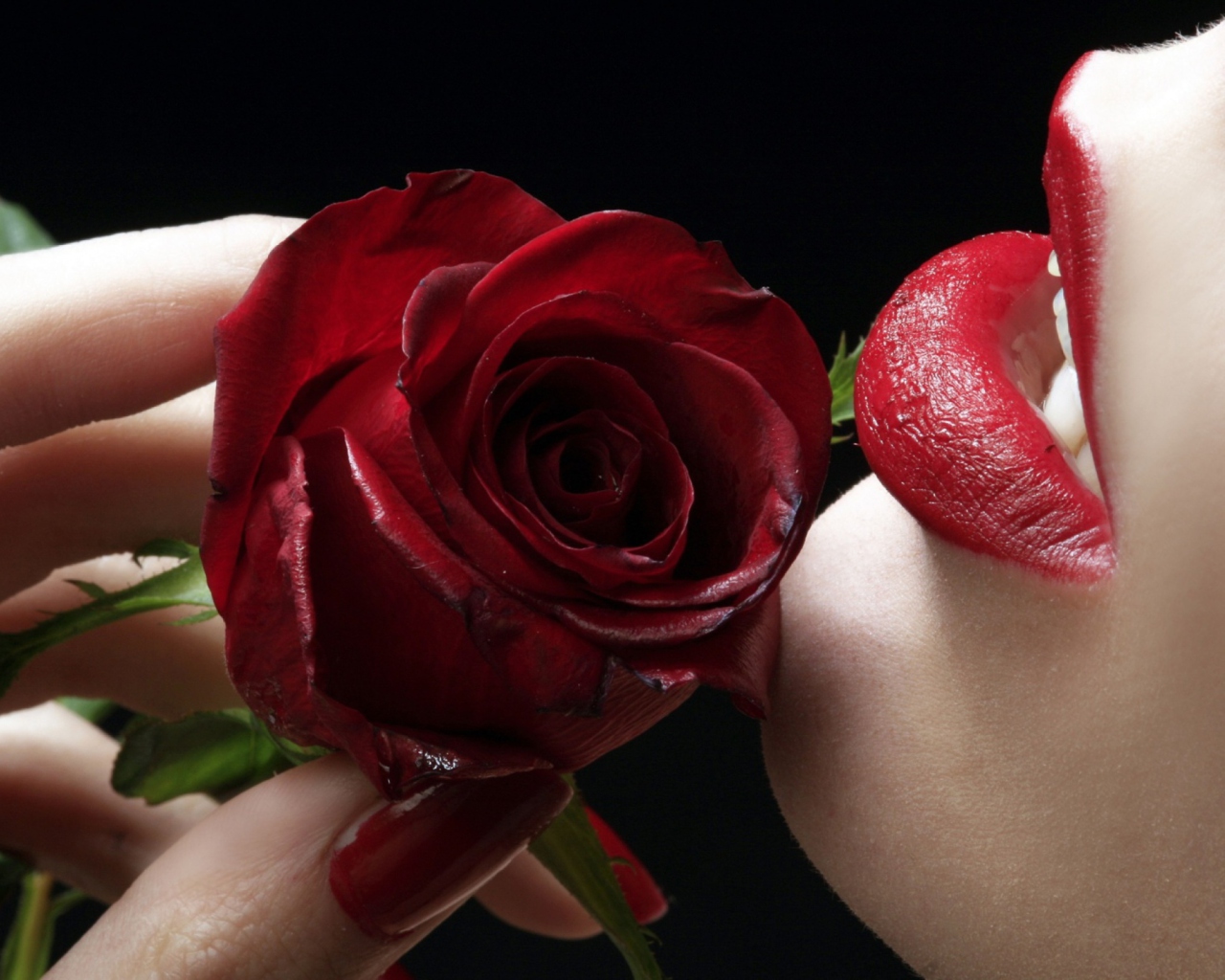 Обои Red Rose - Red Lips 1280x1024