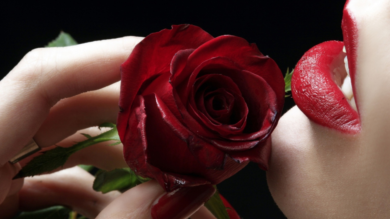 Screenshot №1 pro téma Red Rose - Red Lips 1366x768