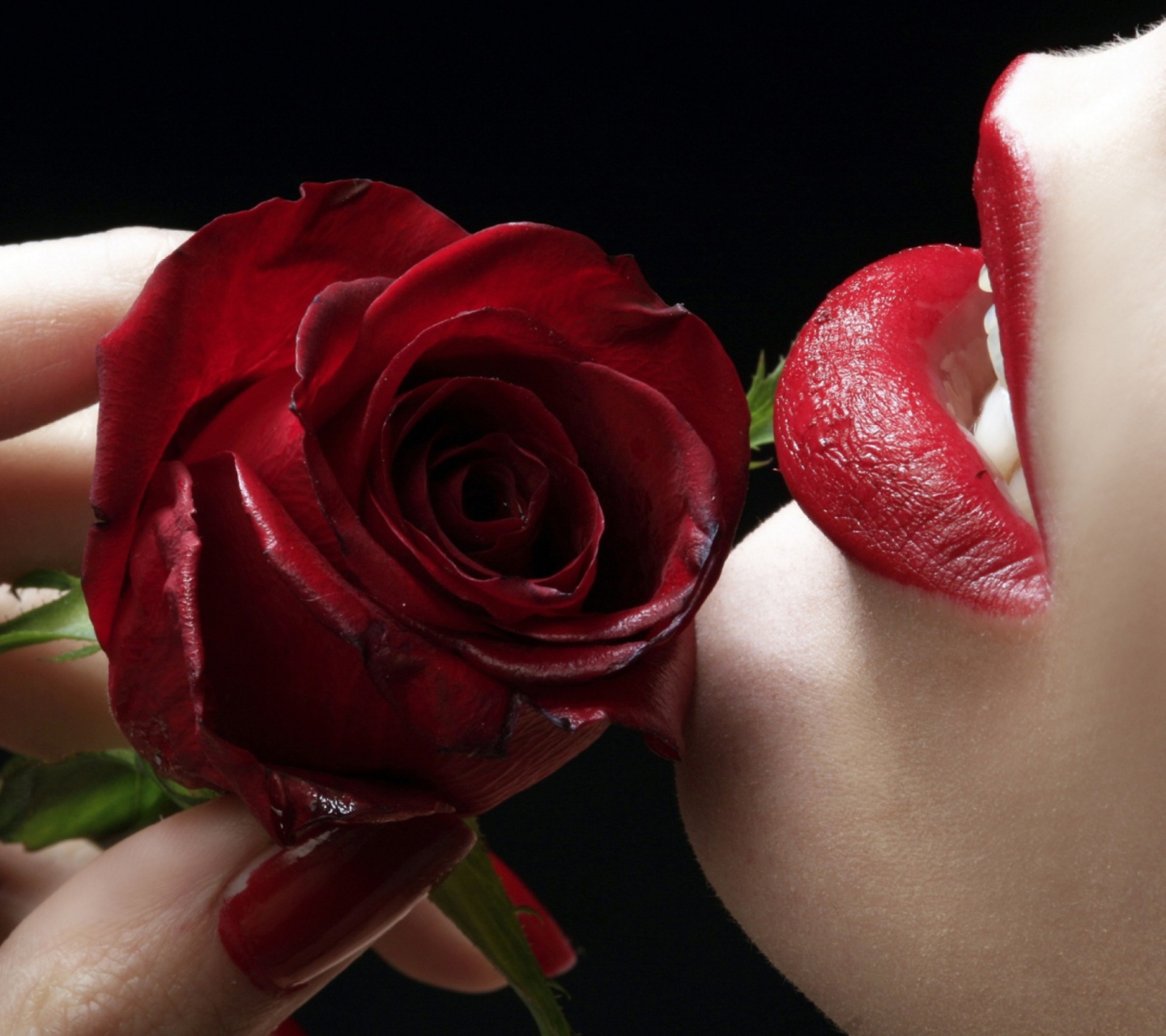Das Red Rose - Red Lips Wallpaper 1440x1280