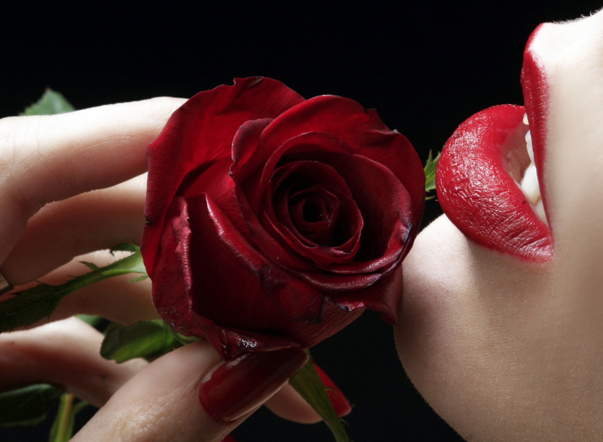 Обои Red Rose - Red Lips 1920x1408