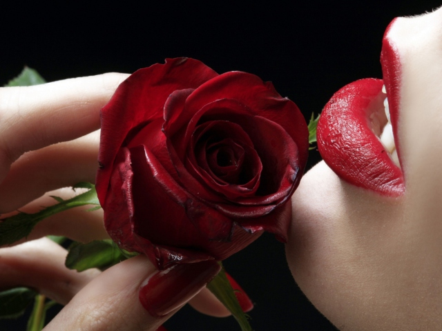 Red Rose - Red Lips wallpaper 640x480