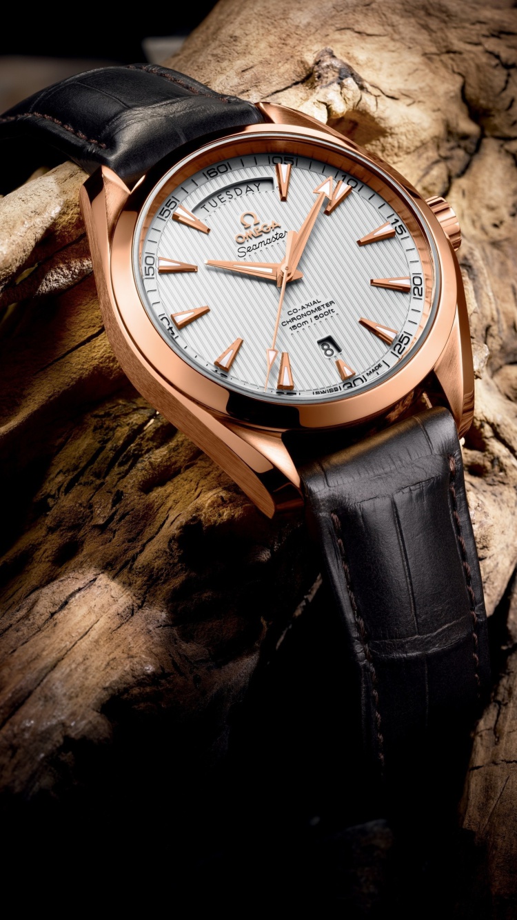 Sfondi Seamaster Aqua Terra Omega 750x1334