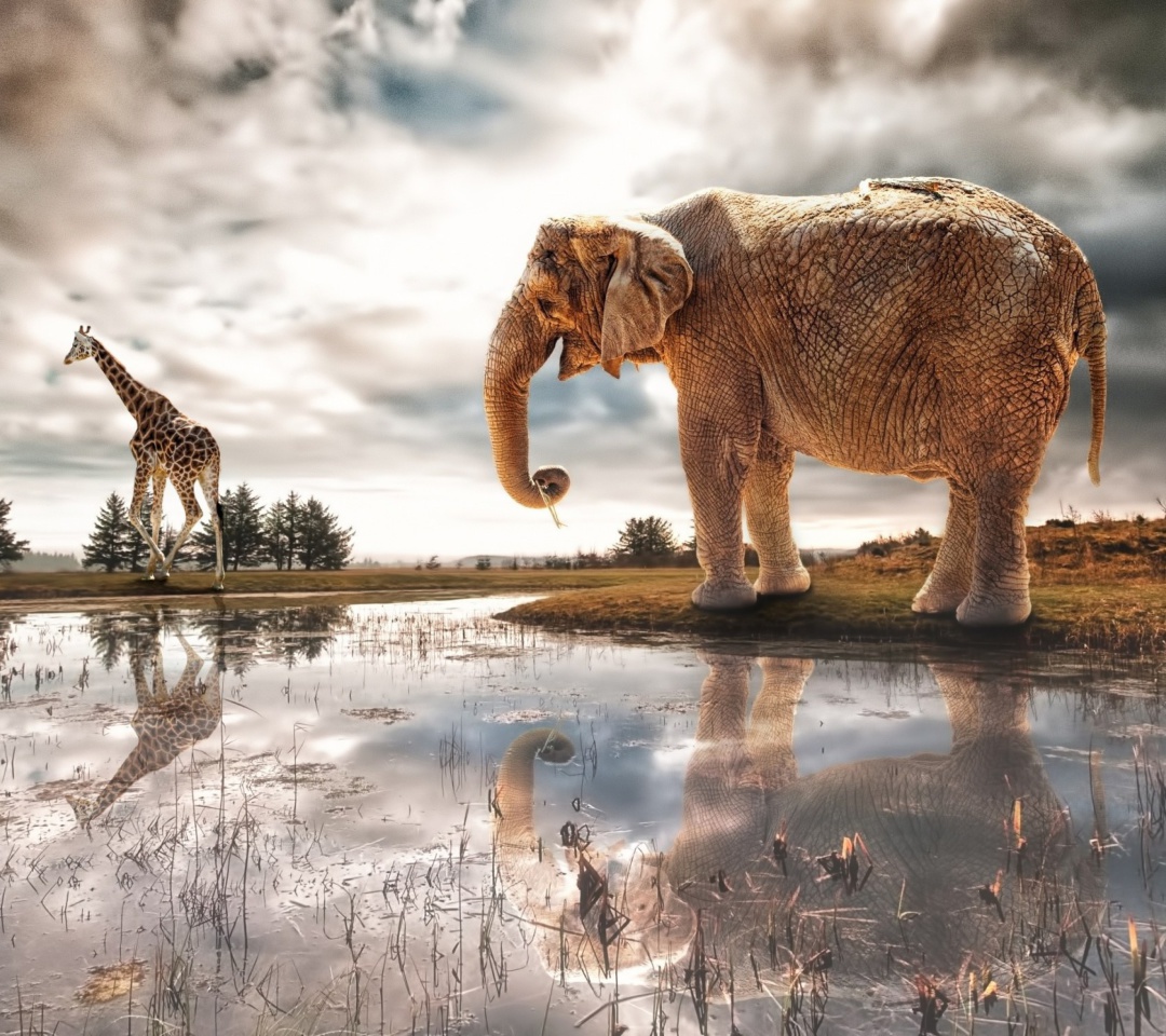 Das Fantasy Elephant and Giraffe Wallpaper 1080x960