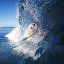 Das Female Surfer Wallpaper 208x208