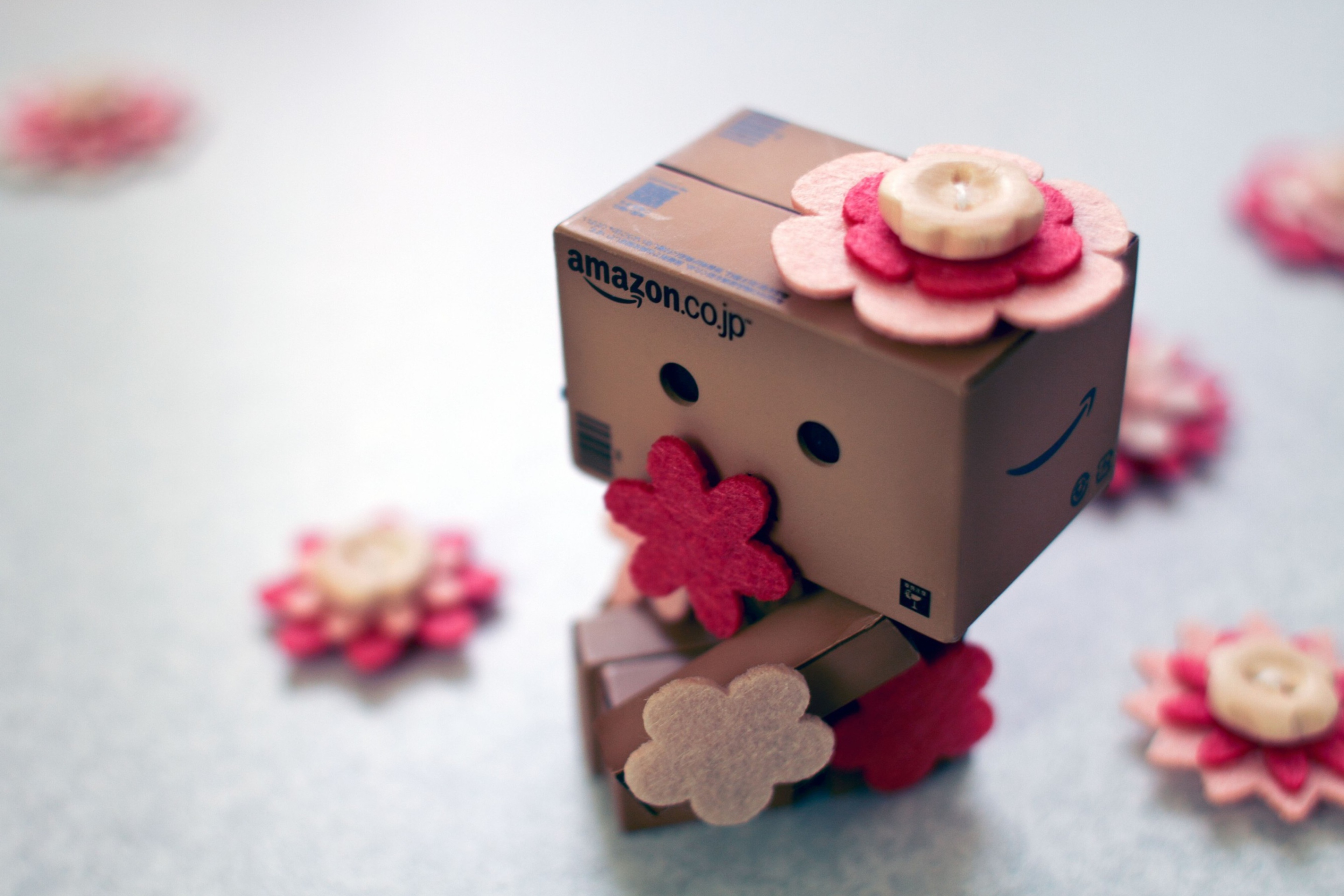 Danbo And Flowers wallpaper 2880x1920