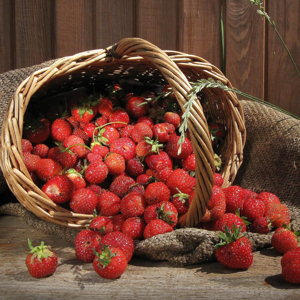 Strawberry Basket wallpaper 1024x1024