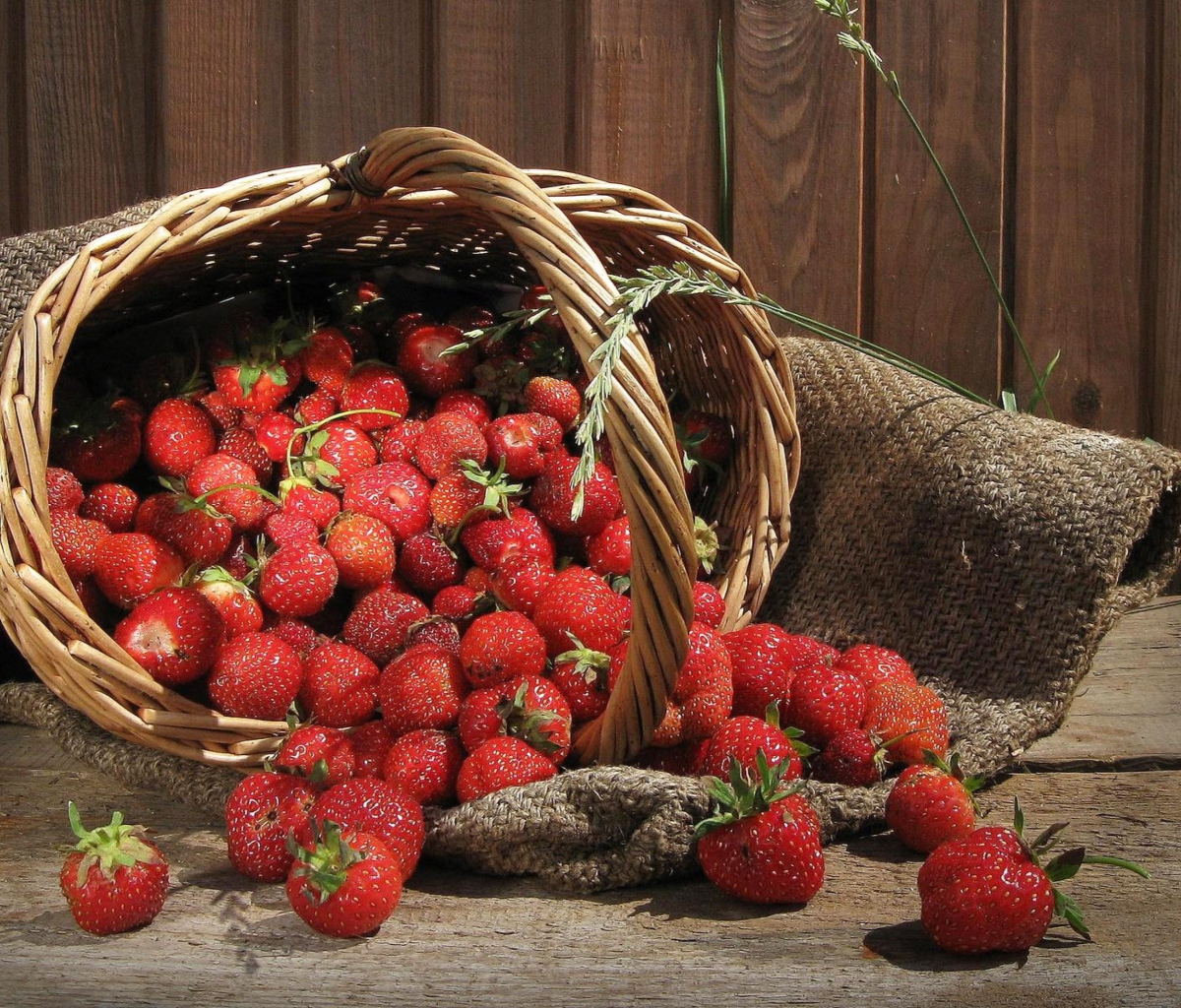 Das Strawberry Basket Wallpaper 1200x1024