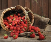 Strawberry Basket wallpaper 176x144