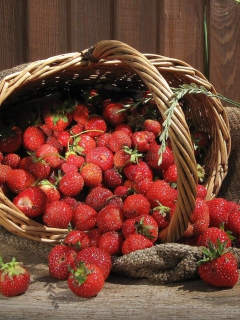 Strawberry Basket screenshot #1 240x320