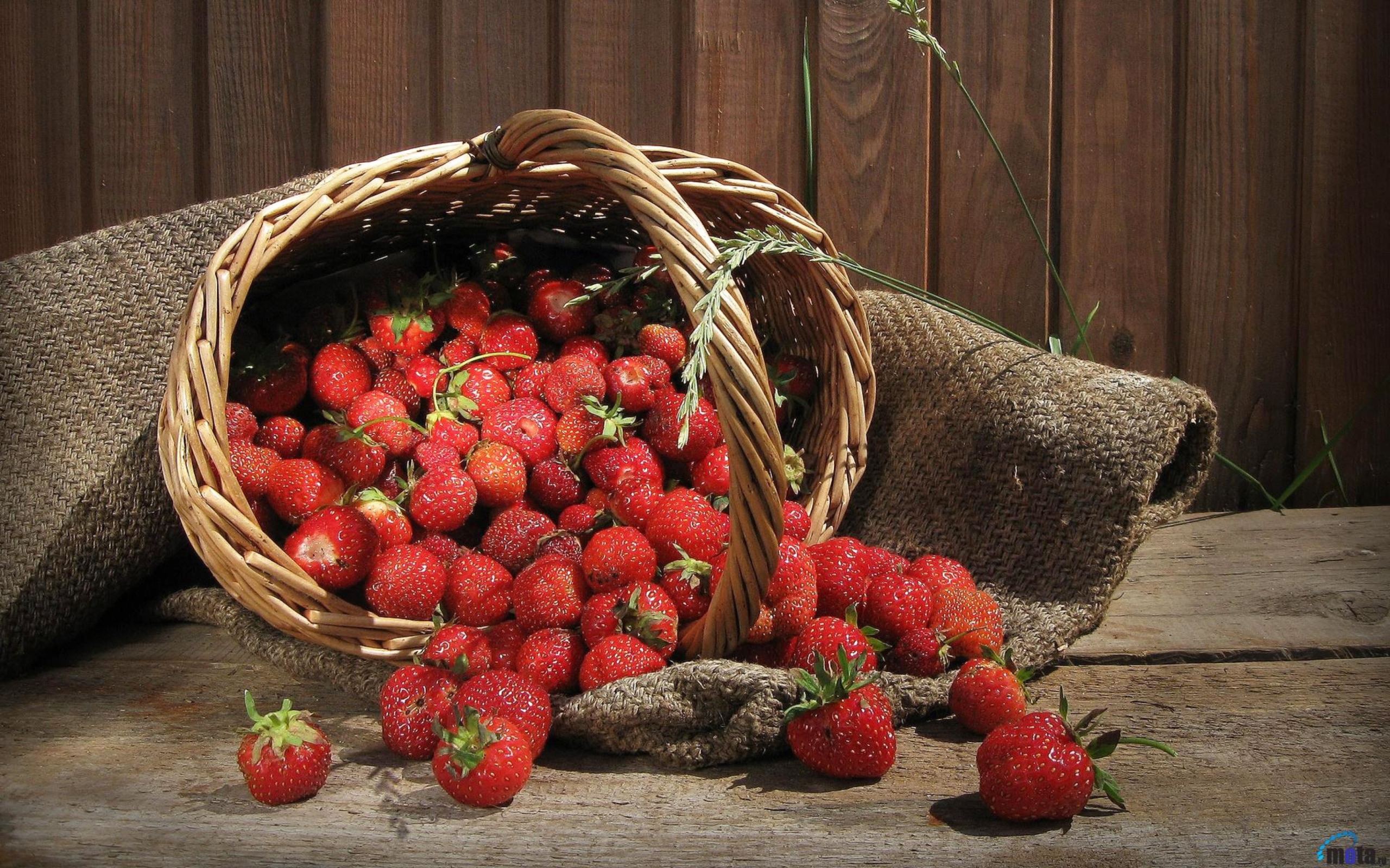 Strawberry Basket wallpaper 2560x1600