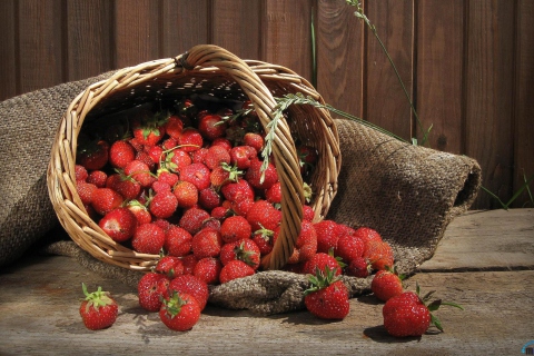Das Strawberry Basket Wallpaper 480x320