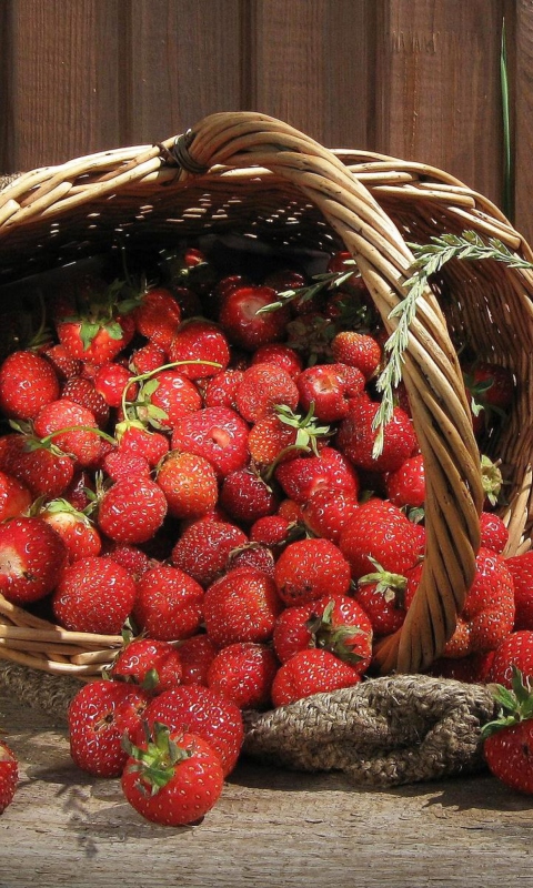 Strawberry Basket wallpaper 480x800