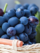 Grapes from Greece wallpaper 132x176