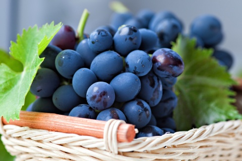Grapes from Greece wallpaper 480x320