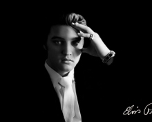 Screenshot №1 pro téma Elvis Presley 220x176