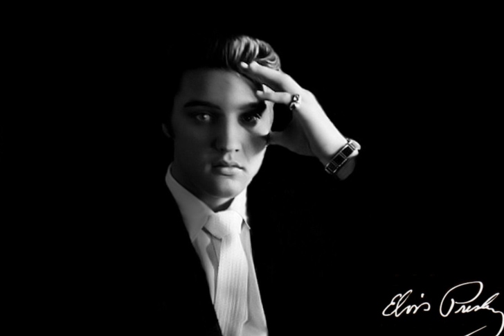 Das Elvis Presley Wallpaper