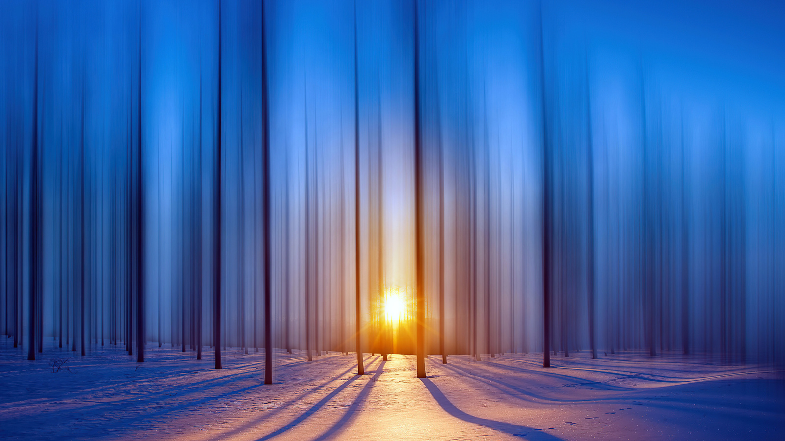 Snow Forest screenshot #1 1600x900