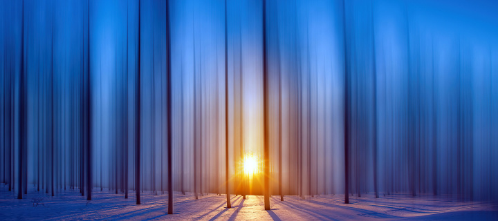 Fondo de pantalla Snow Forest 720x320