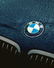 Sfondi Bmw Logo after Rain 176x220