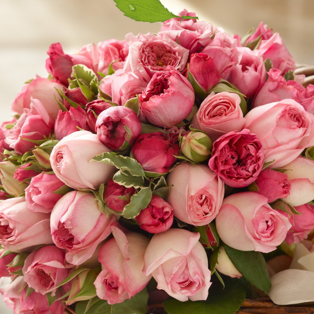 Das Bouquet of pink roses Wallpaper 1024x1024