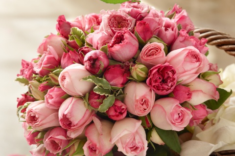 Das Bouquet of pink roses Wallpaper 480x320