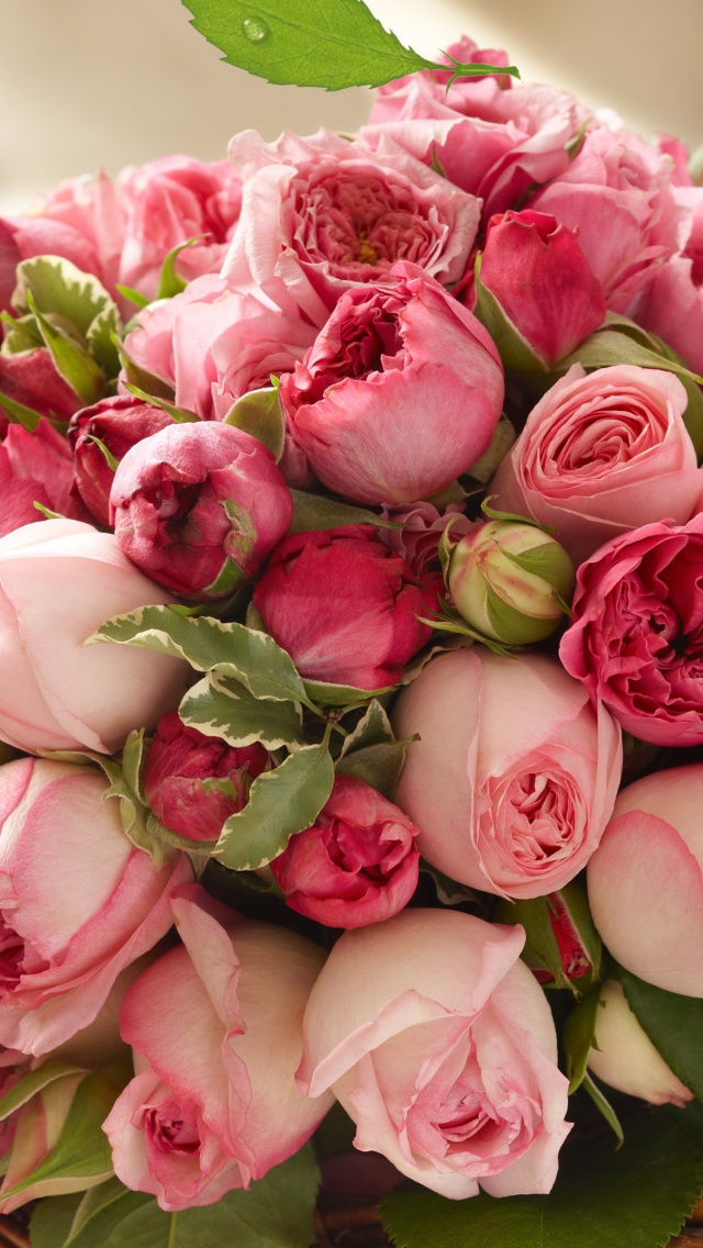 Bouquet of pink roses wallpaper 640x1136