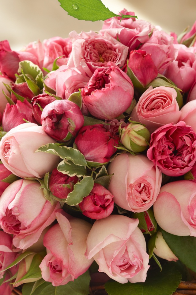Fondo de pantalla Bouquet of pink roses 640x960