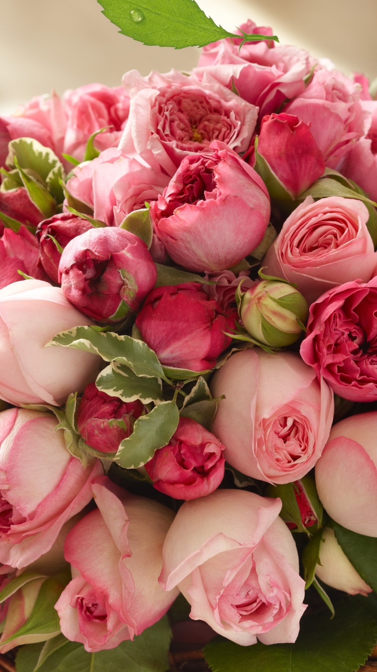 Sfondi Bouquet of pink roses 750x1334