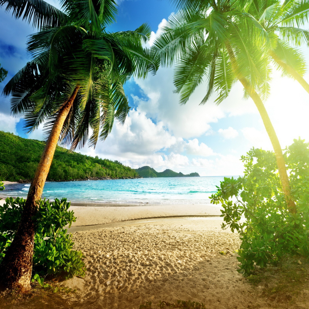 Обои Tropical Beach In Palau 1024x1024
